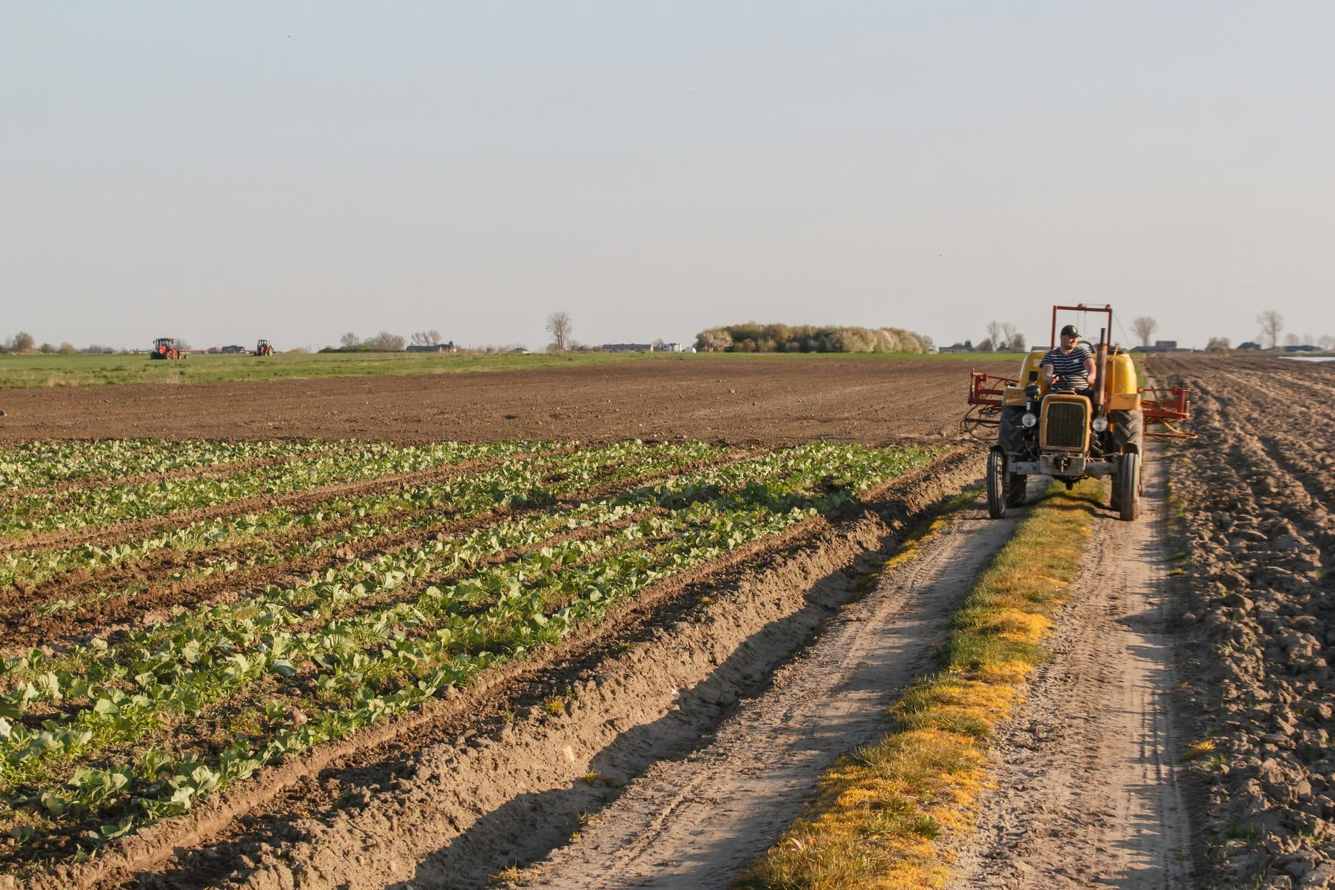Agriculture & Agro-Processing